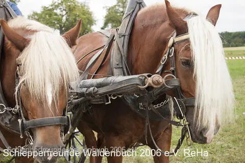 Schleppertreff280.jpg