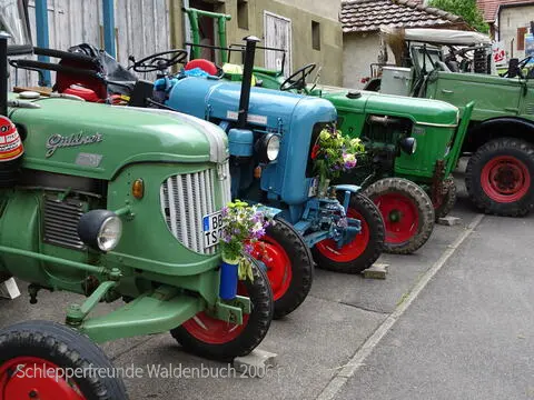 DSC06646.JPG
